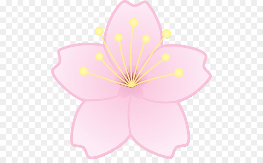 Flor，Florecer PNG