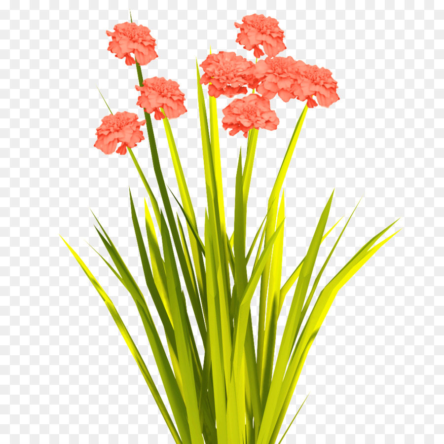 Flor，La Floración De La Planta PNG