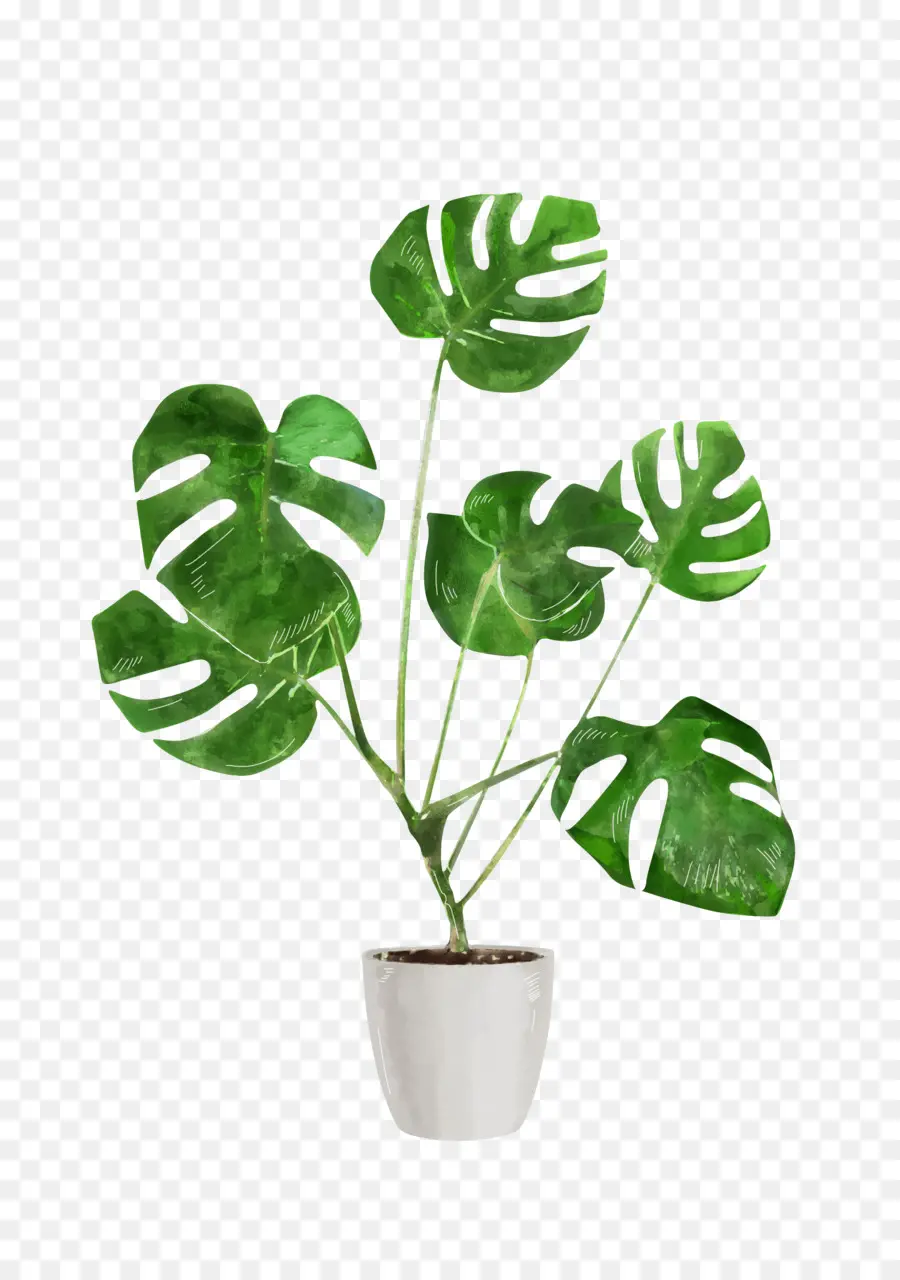 Hoja，Planta PNG