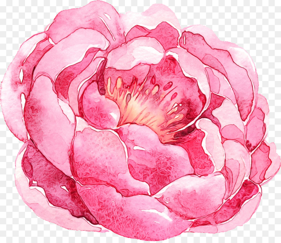 Rosa，Pétalo PNG