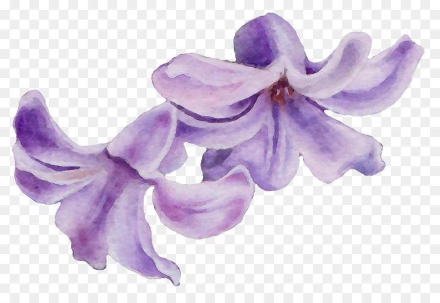 Flor，Púrpura PNG