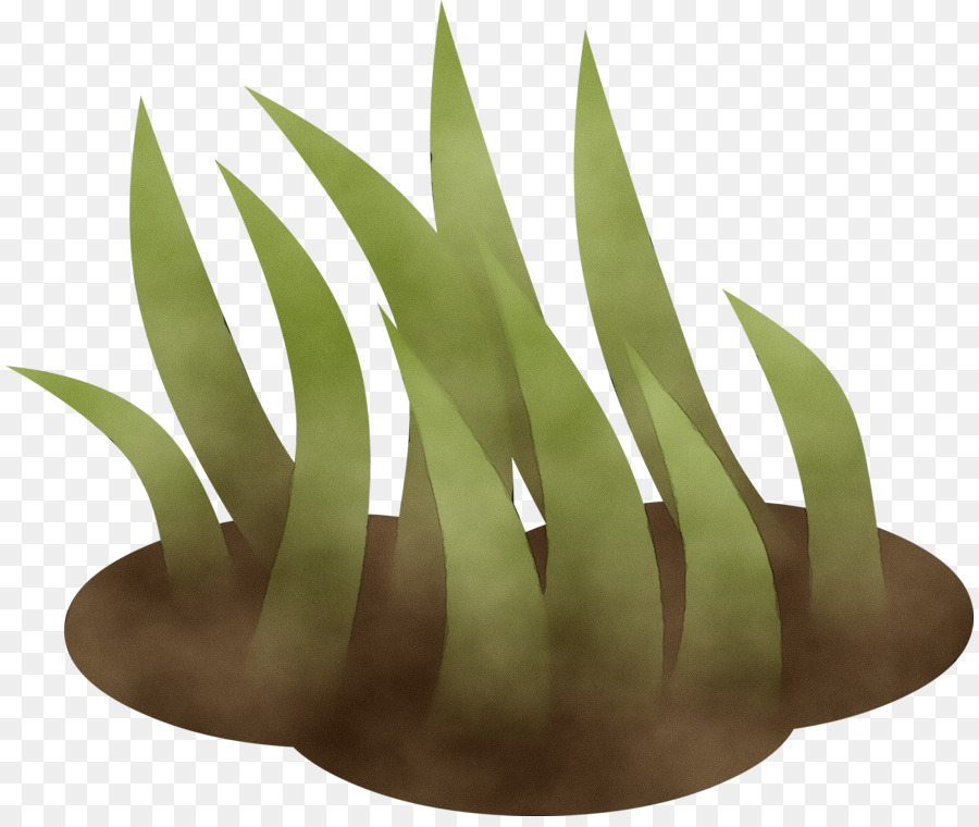 Césped，Verde PNG