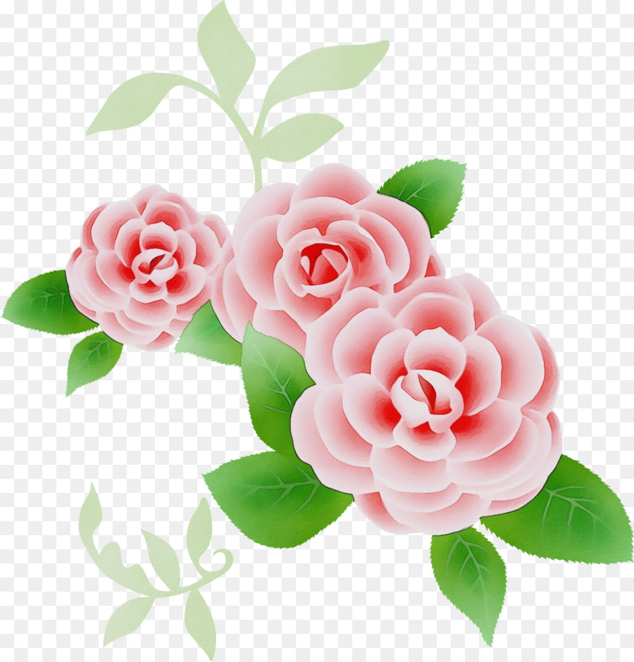 Flor，Rosa PNG