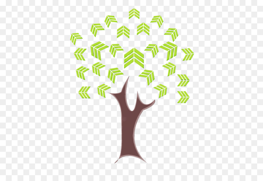 Árbol，Hojas PNG