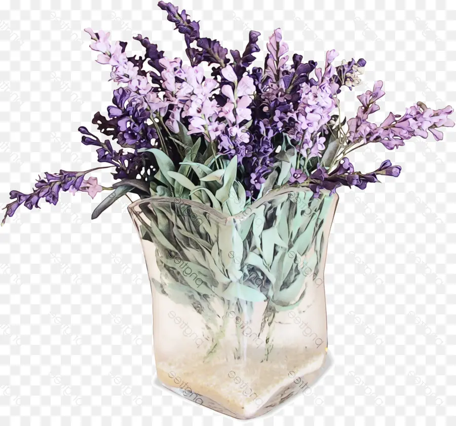 Flor，Lavanda PNG