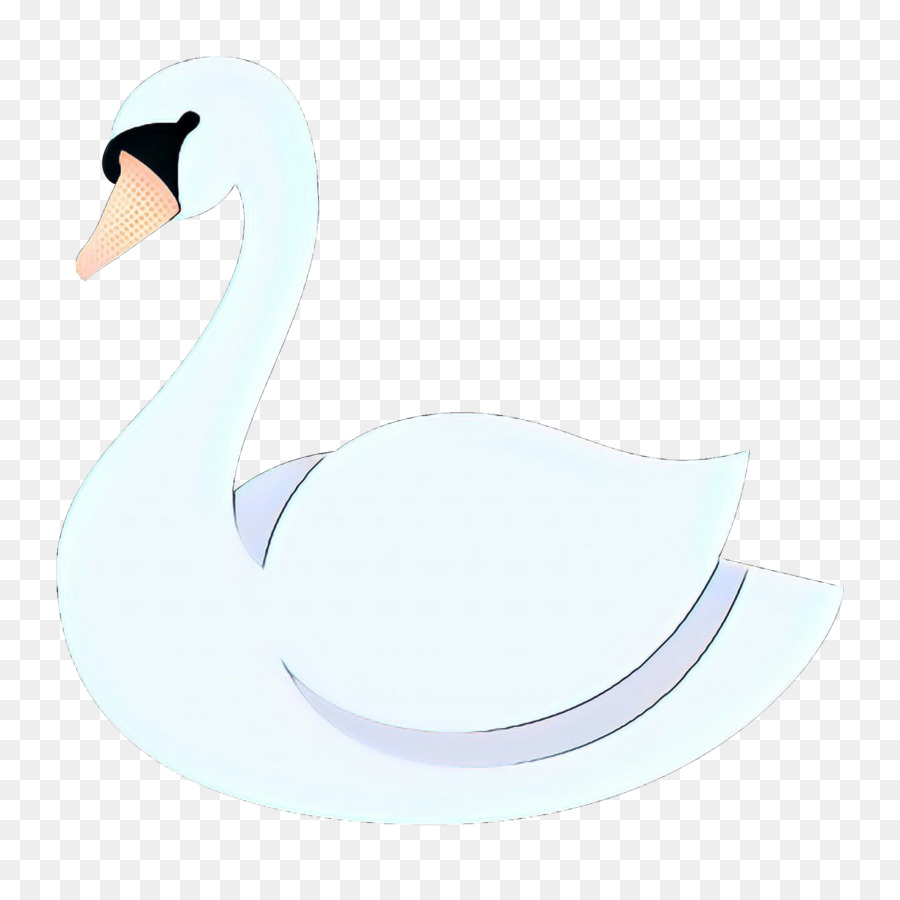 Swan，Aves PNG