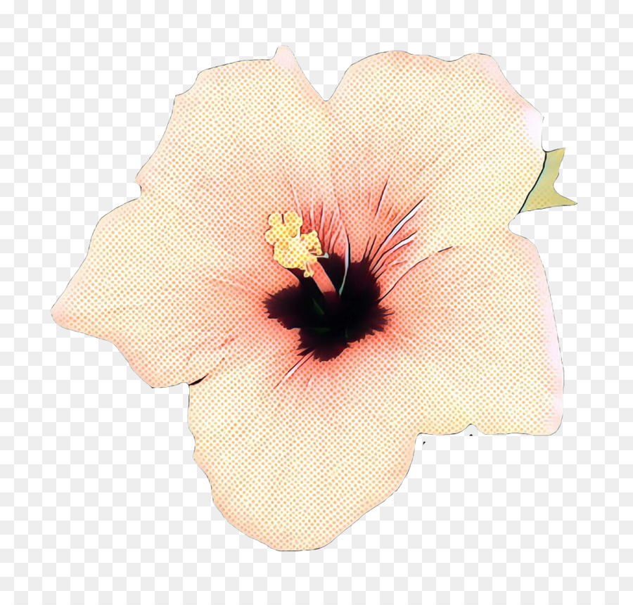 Flor，Florecer PNG