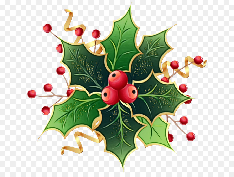 Acebo，Estadounidense Holly PNG