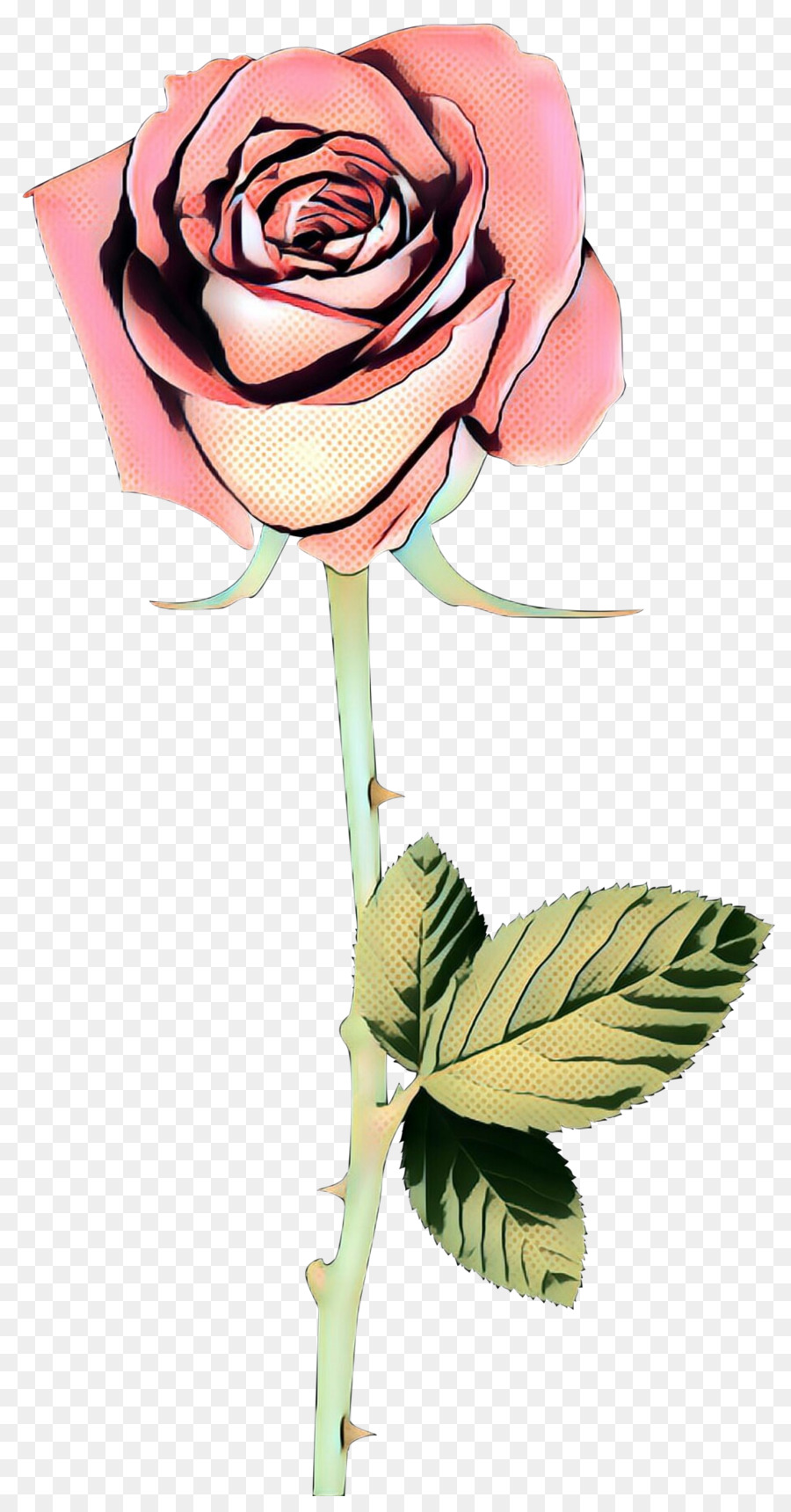 Flor，Rosa PNG