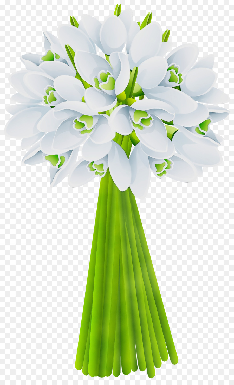 Ramo De Flores Blancas，Ramo PNG