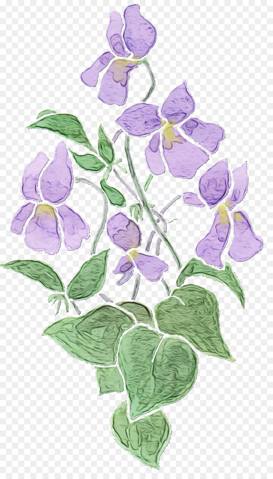 Flor，Violeta PNG