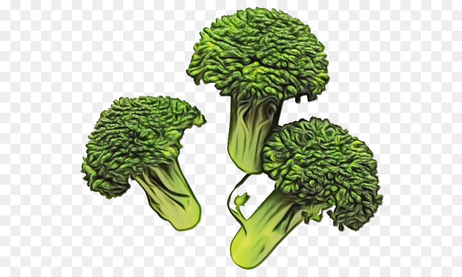 Brócoli，Hoja Vegetal PNG