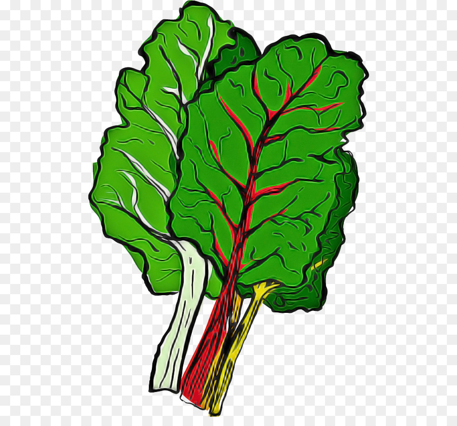 Lechuga，Verde PNG