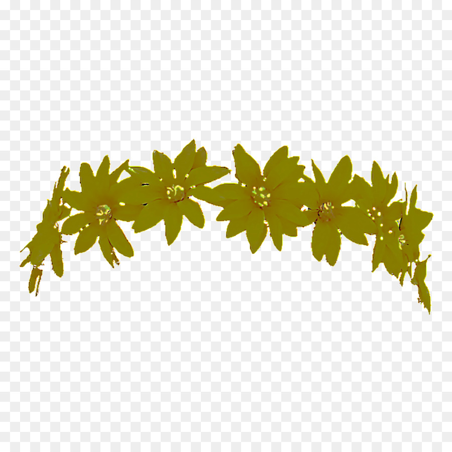 Hoja，Árbol PNG