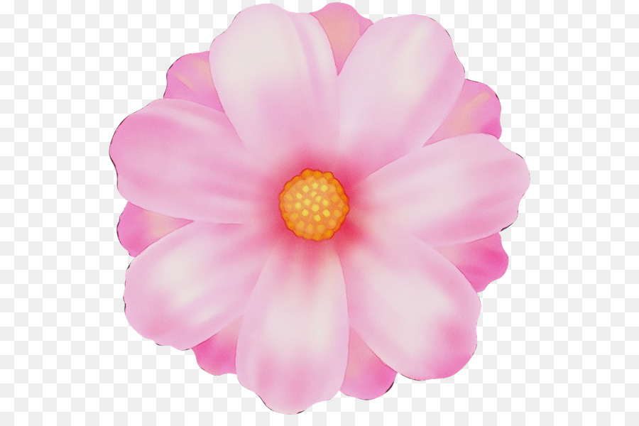 Pétalo，Rosa PNG