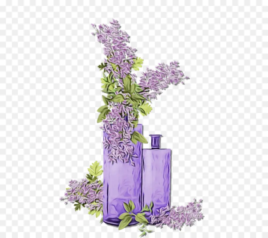 Flor，Lavanda PNG