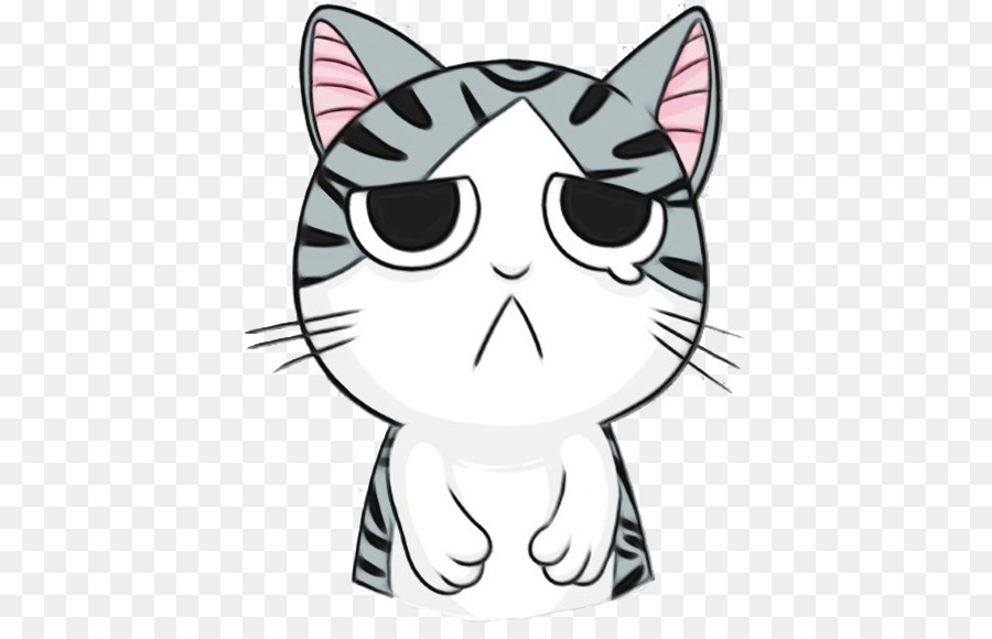 Gato，Blanco PNG