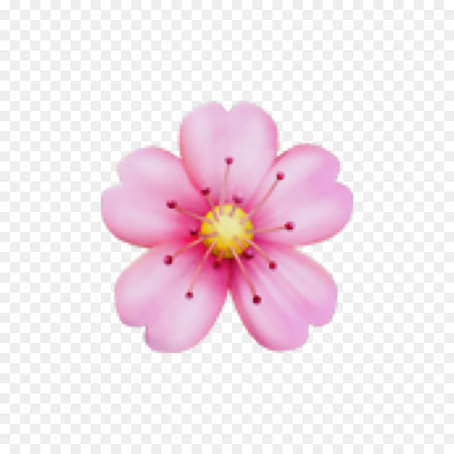 Flores Rosadas，Flores PNG