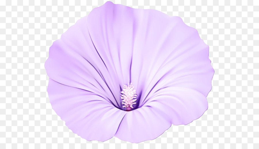 Púrpura，Violeta PNG