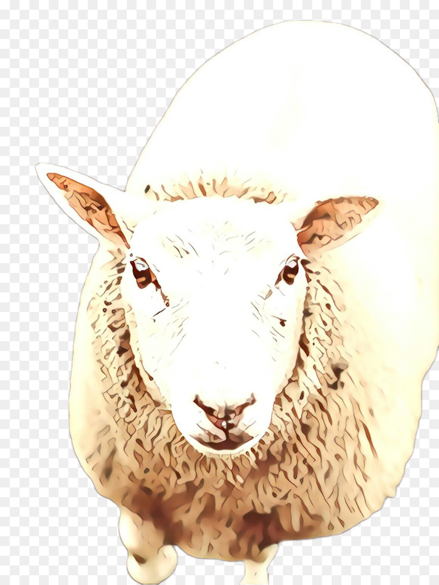 Ovejas，Las Cabras PNG