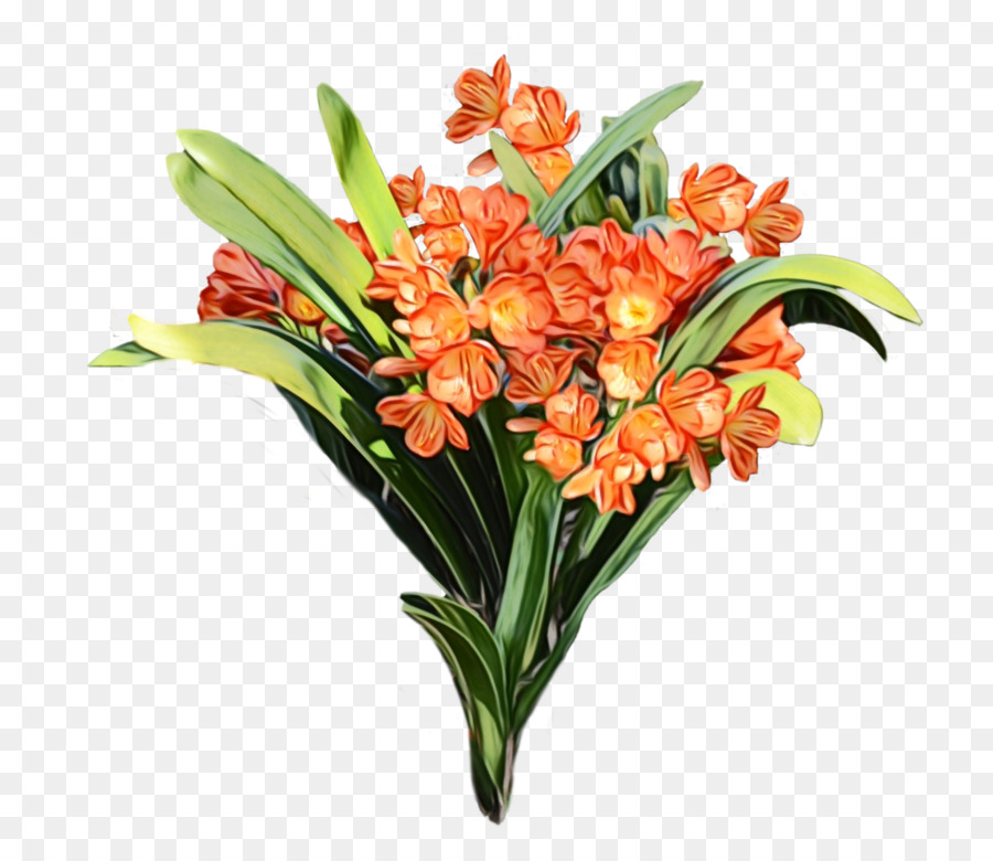 Flor，Planta Floreciendo PNG