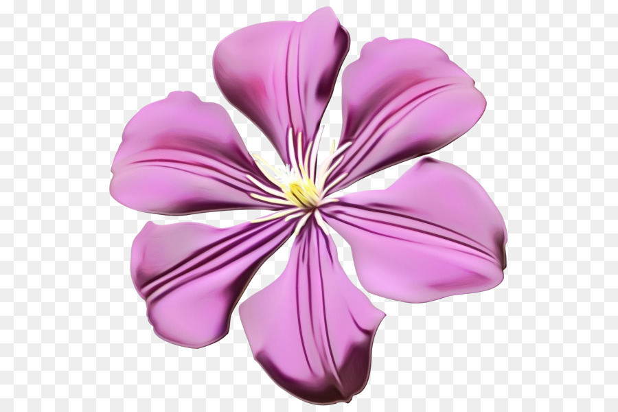 Pétalo，Flor PNG