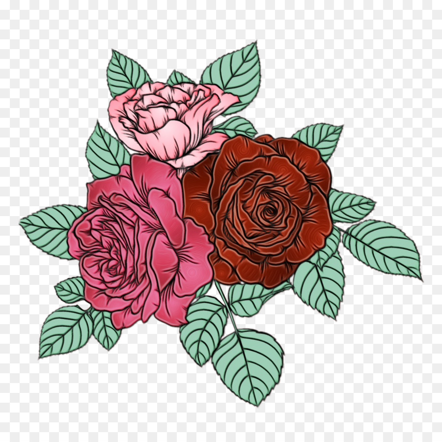 Rosas，Floración PNG