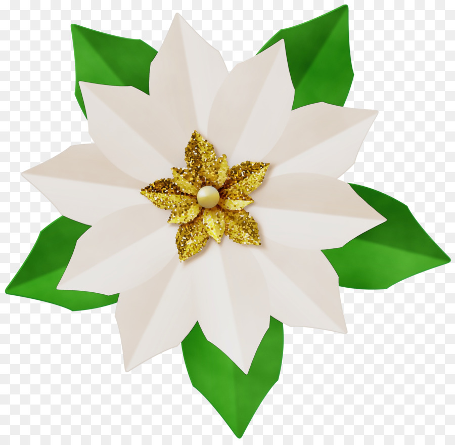 Flor Blanca，Pétalos PNG