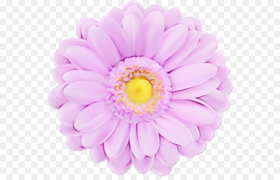 Flor，Rosa PNG