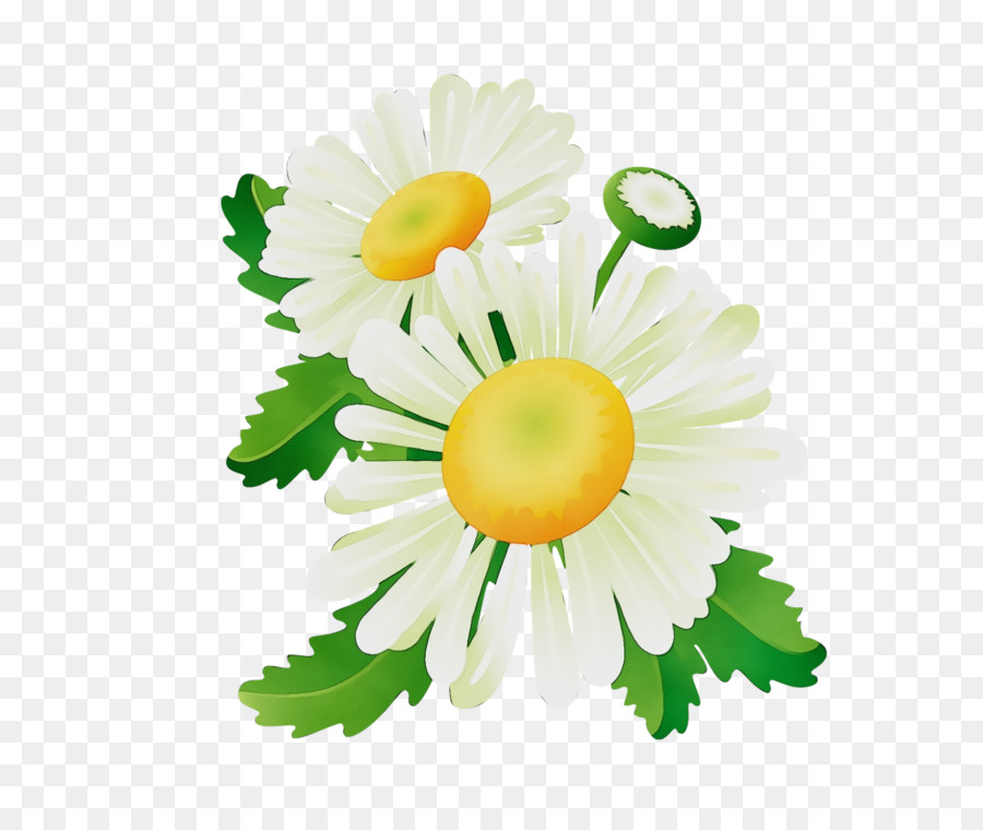 Flores，Florecer PNG