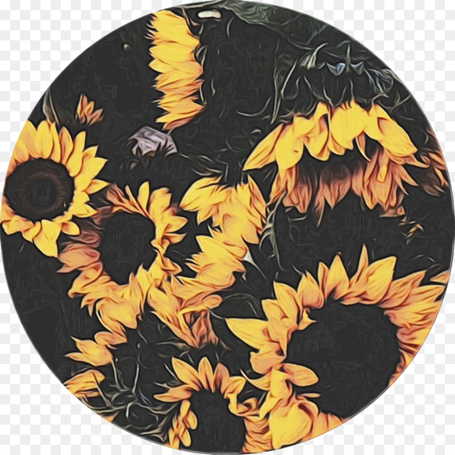 Girasol，Amarillo PNG