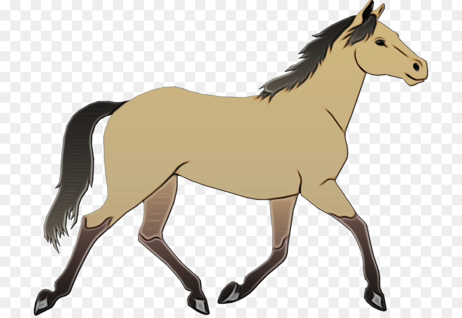 Caballo，Melena PNG