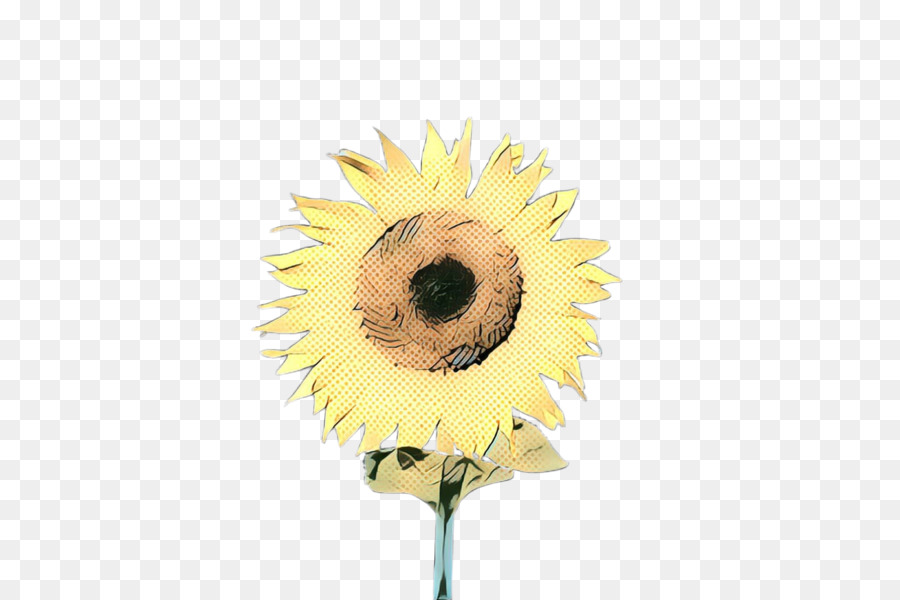 Girasol，Amarillo PNG