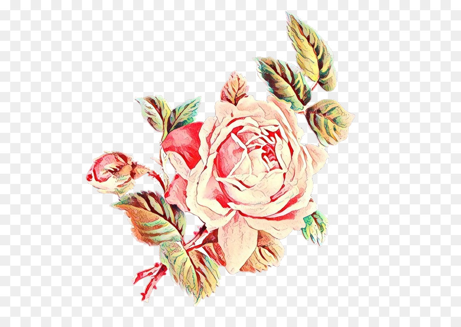Las Flores Cortadas，Rosa PNG