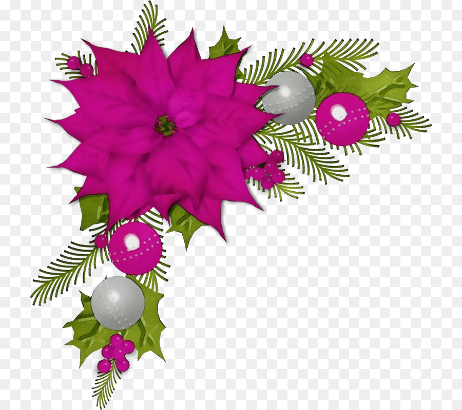 Flor，Planta PNG