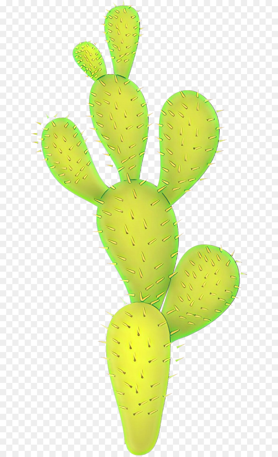 Cactus，Verde PNG