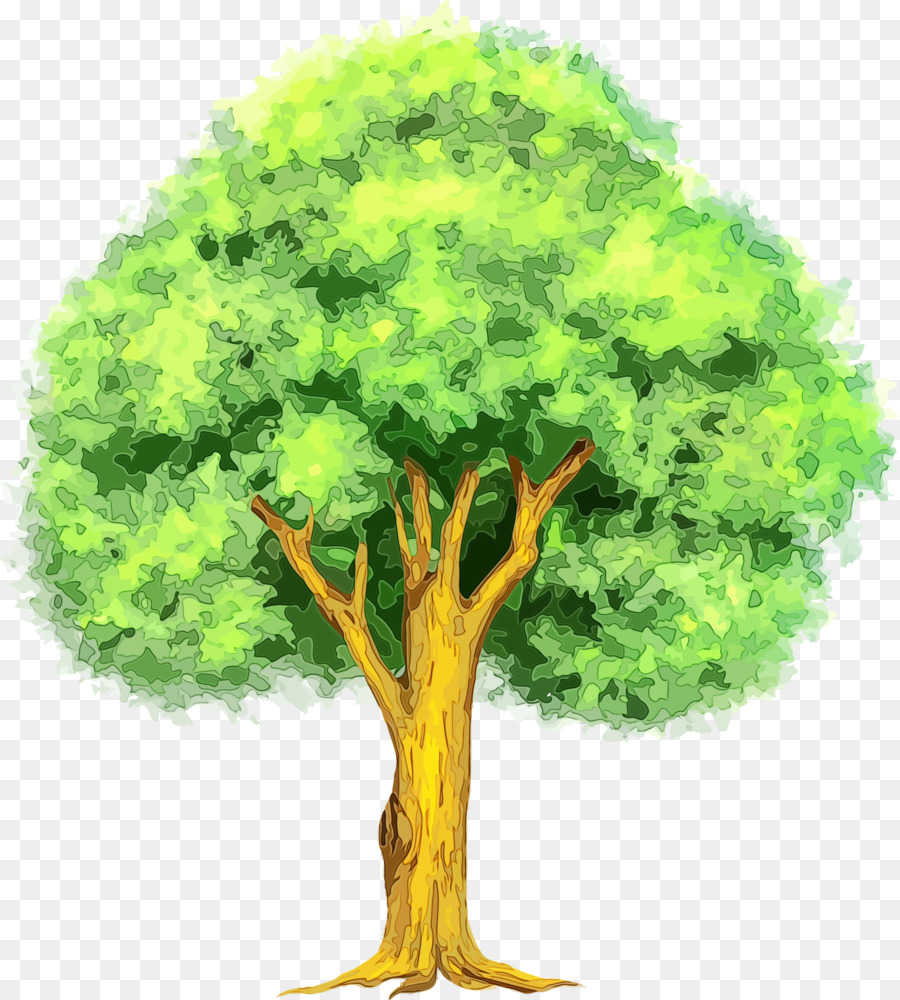 árbol，Verde PNG