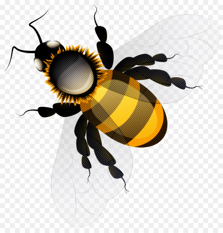 Abeja，Miel PNG