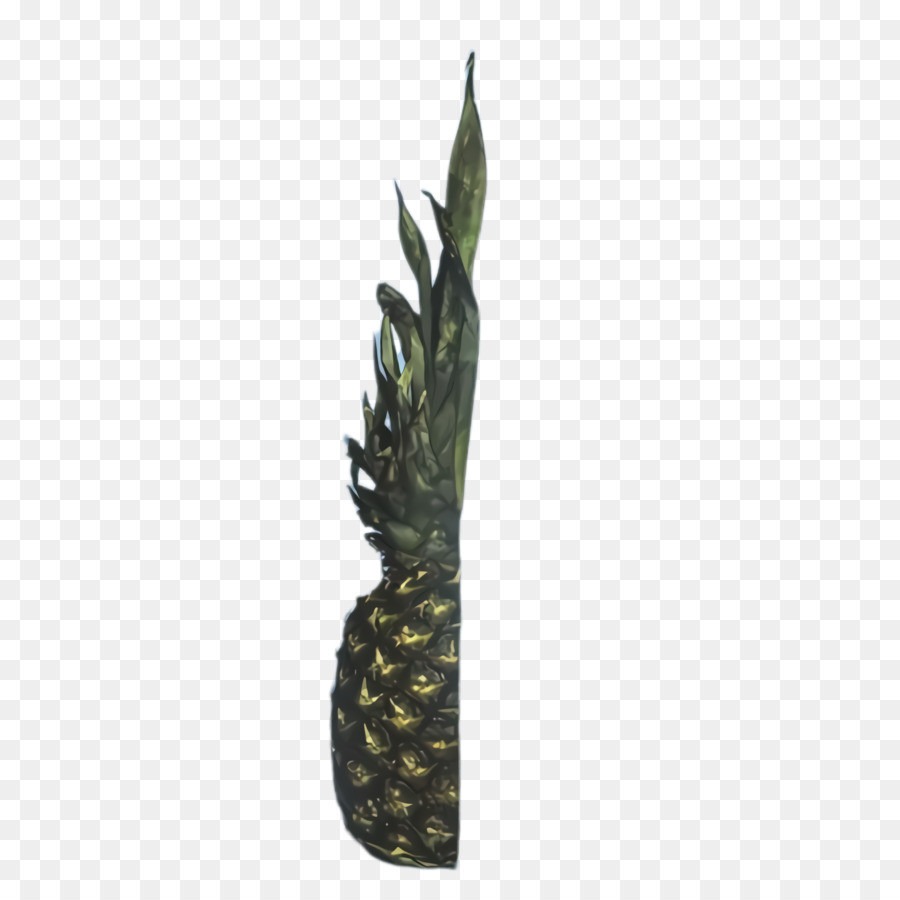 Piña，Ananas PNG