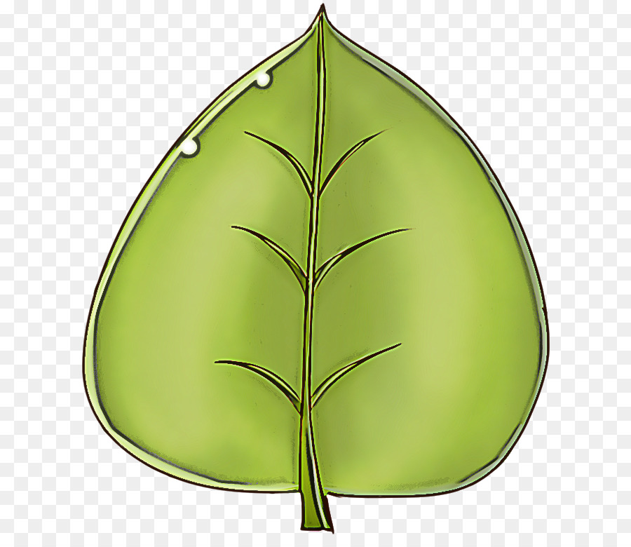 Hoja，Verde PNG