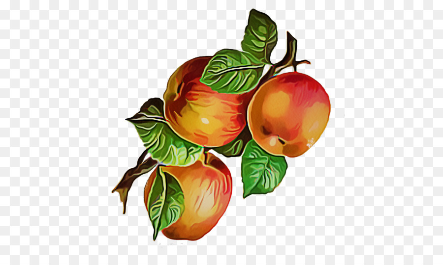 Manzanas，Huerta PNG