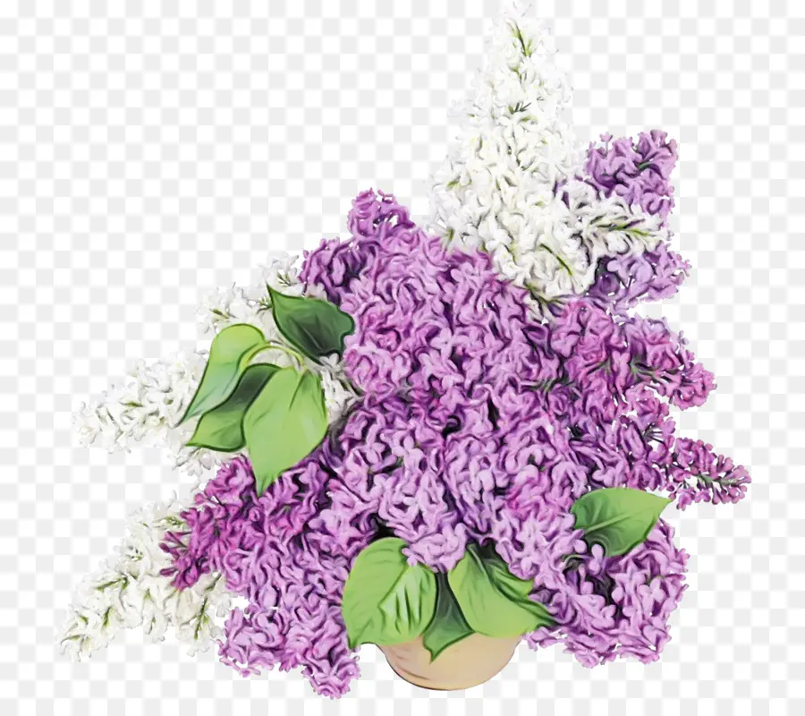 Flores Moradas，Flores PNG