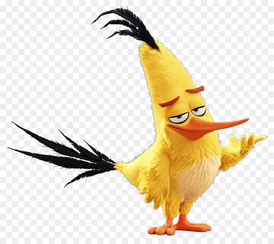 Aves，Amarillo PNG