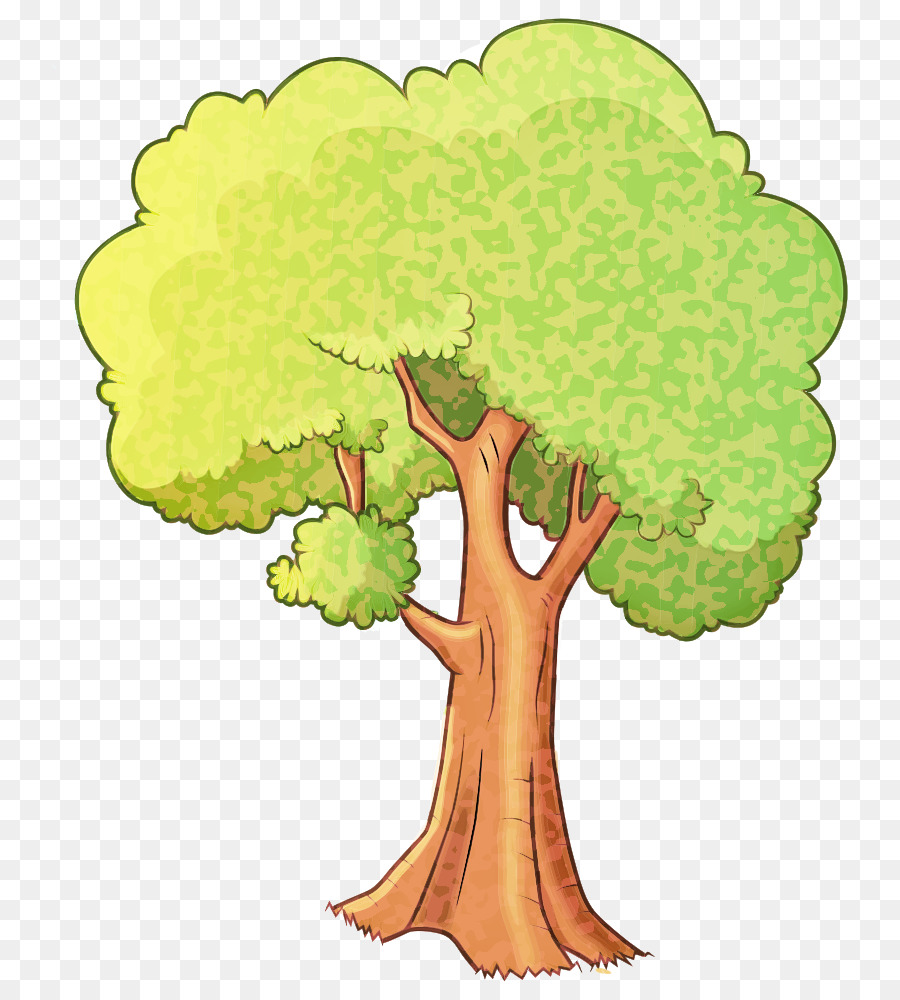 Árbol，Hojas PNG