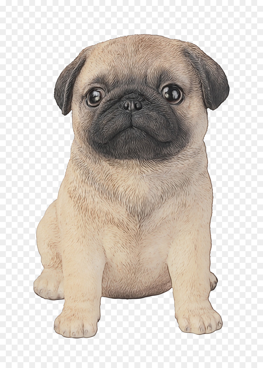 Perro，Pug PNG