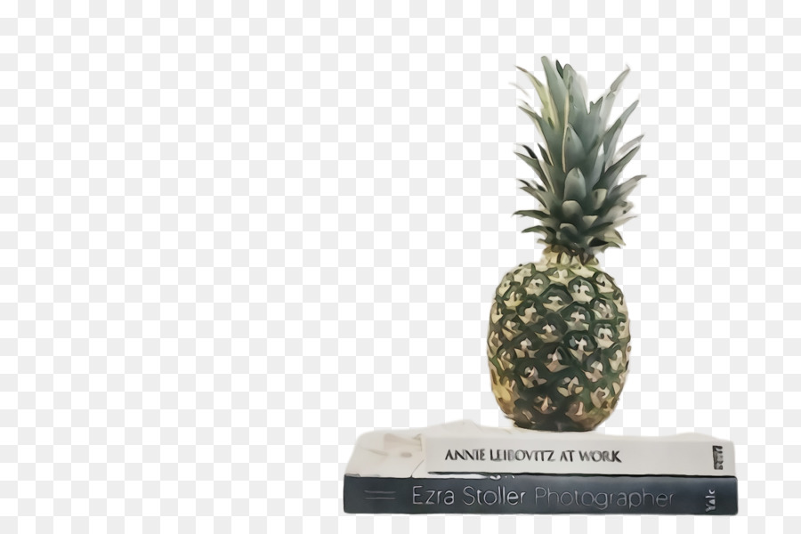 Piña，Ananas PNG