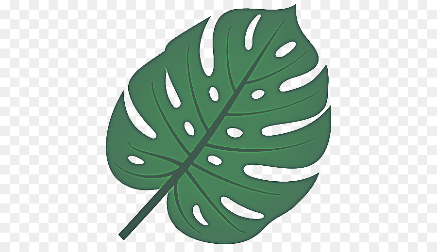 Hoja，Monstera Deliciosa PNG