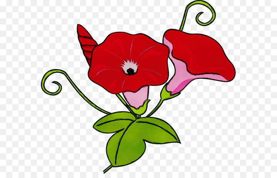 Flor，Rojo PNG