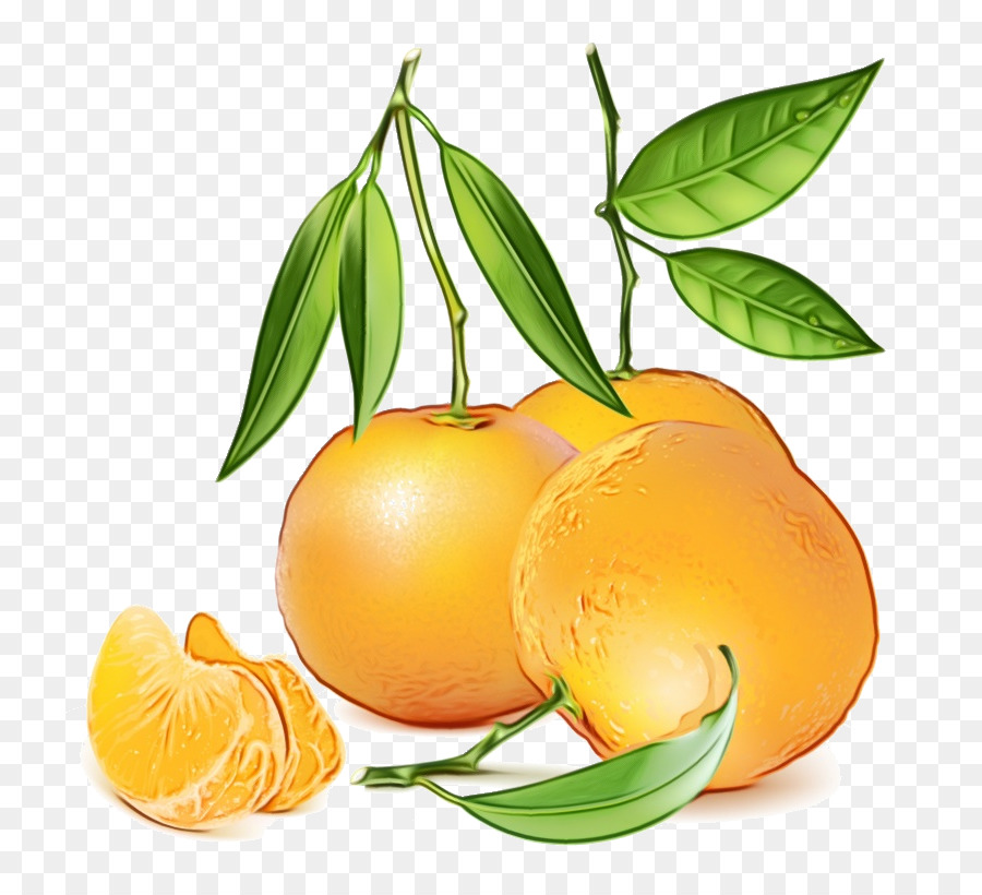 Naranjas，Agrios PNG