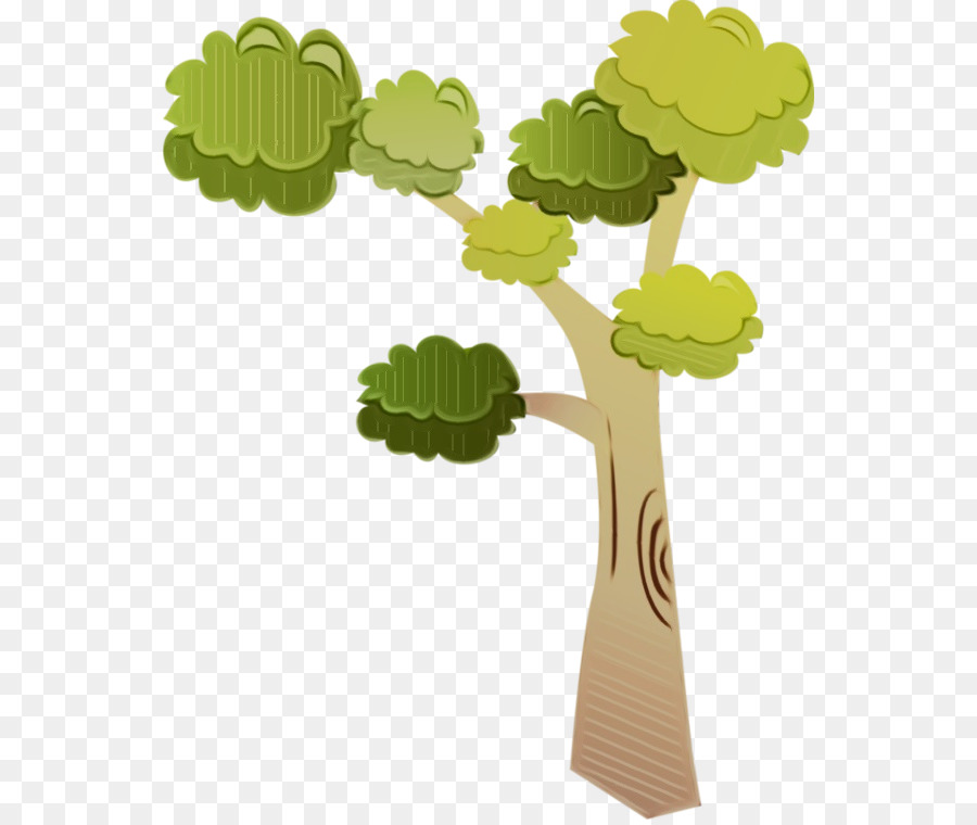 Árbol Bonsái，Árbol PNG